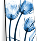Frendorf | Drei Blaue Tulpen Wandkunst