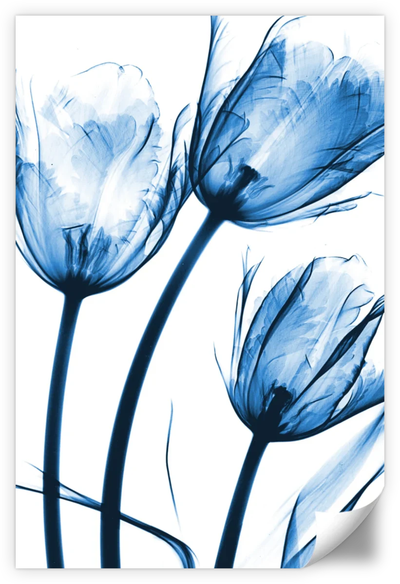 Frendorf | Drei Blaue Tulpen Wandkunst