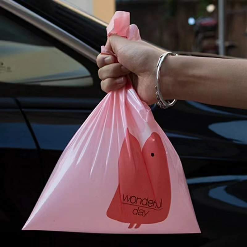 Frendorf | Einweg Auto Müllsack