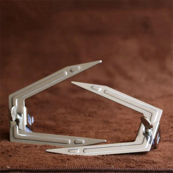 Frendorf | Brathähnchen-Spieß Ofenzubehör Drehspieß BBQ Hähnchengabel