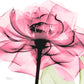Frendorf | Rosenpink Wandkunst