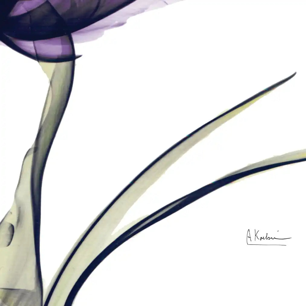 Frendorf | Royal Purple Parrot Tulpen Wandkunst