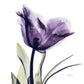 Frendorf | Royal Purple Parrot Tulpen Wandkunst