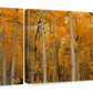 Frendorf | Quaking Aspens Dixie National Forest UT Wandkunst