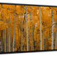 Frendorf | Quaking Aspens Dixie National Forest UT Wandkunst