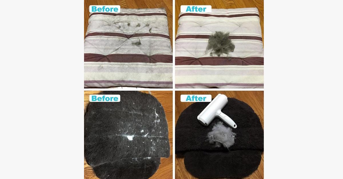 Frendorf | Tierhaareentferner – Reinigen Sie Ihren Ort ganz einfach!