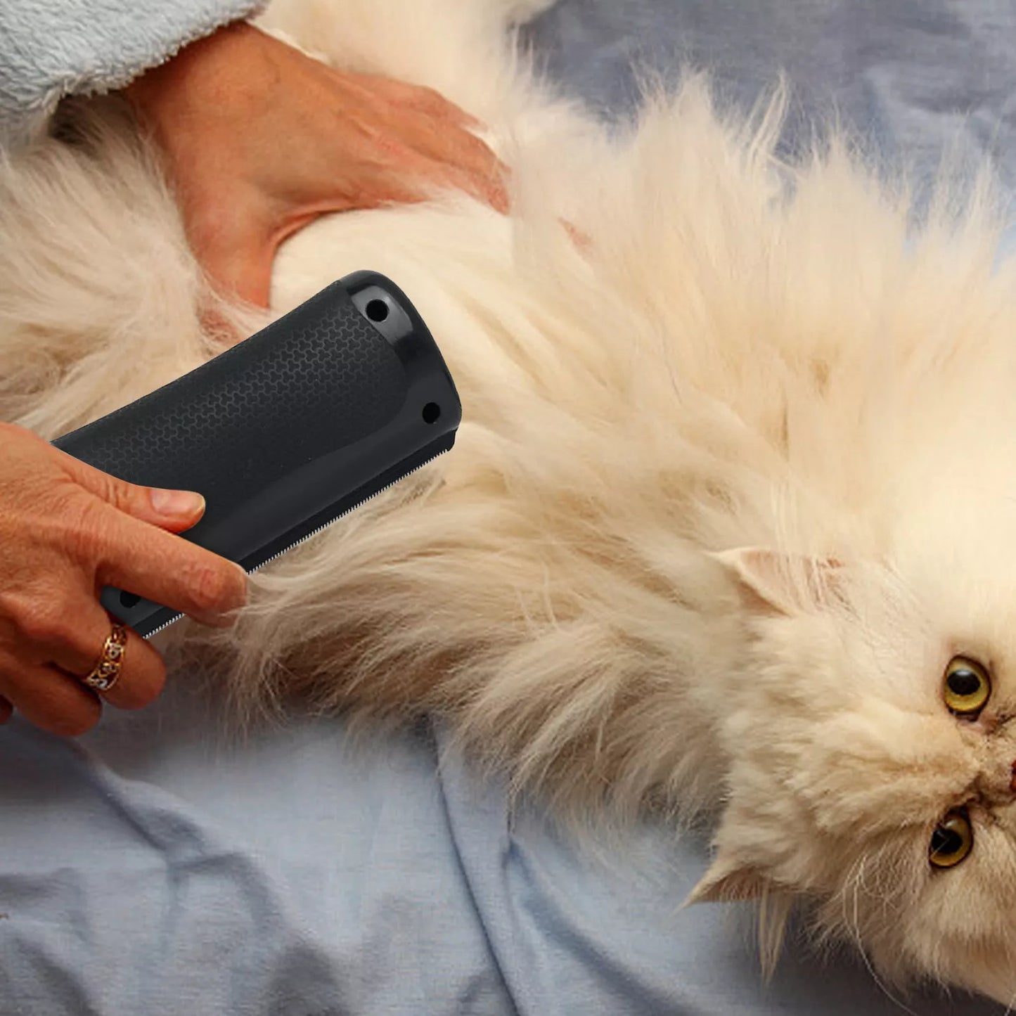 Frendorf | BräutigamKumpel Entfernt loses Fell