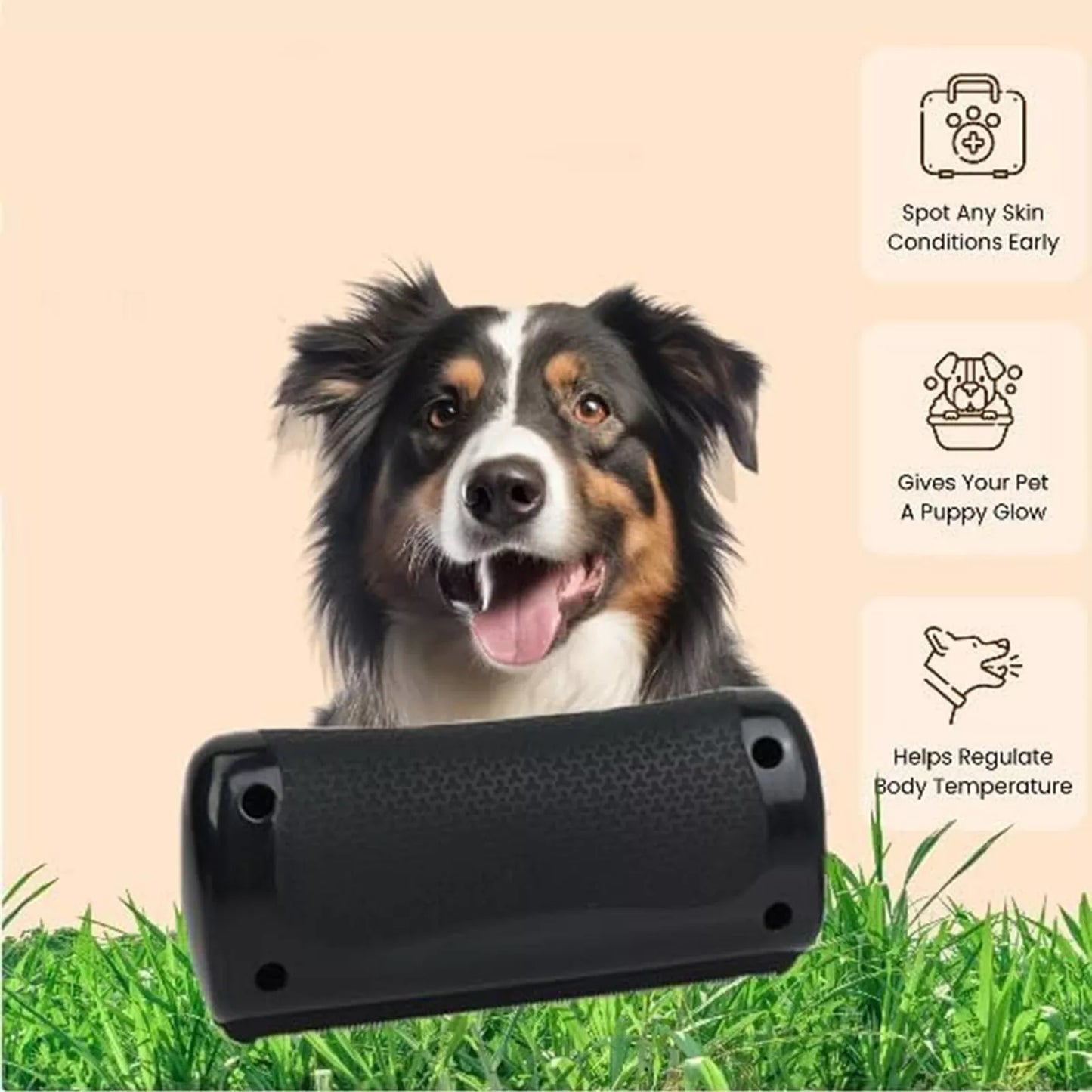 Frendorf | BräutigamKumpel Entfernt loses Fell