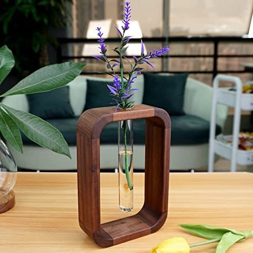 Frendorf | PlantSphere Hohler Pflanzenvermehrer | Dekorative Pflanzenzuchtstation | Perfekt für Zuhause & Büro