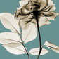 Frendorf | Sepia Rose Röntgenaufnahme Wandkunst
