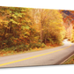 Frendorf | Herbststraße mit Bären am Rehüberquerungsschild Wandkunst