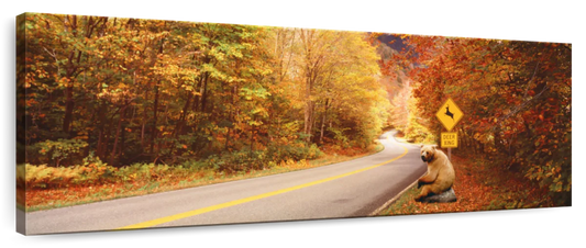 Frendorf | Herbststraße mit Bären am Rehüberquerungsschild Wandkunst