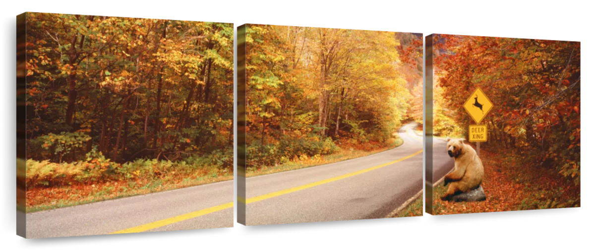 Frendorf | Herbststraße mit Bären am Rehüberquerungsschild Wandkunst