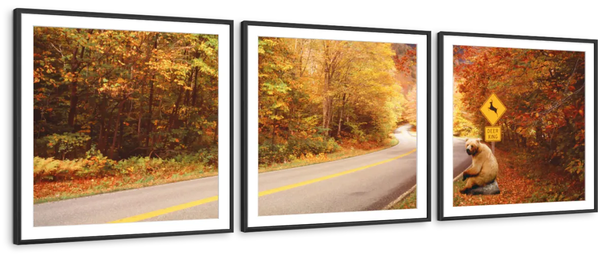 Frendorf | Herbststraße mit Bären am Rehüberquerungsschild Wandkunst