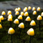 Frendorf | MagicMushroom™ Solar Gartenleuchten | LED Pilz Lampen für Außen | Wasserdichte Deko Beleuchtung für Garten & Terrasse