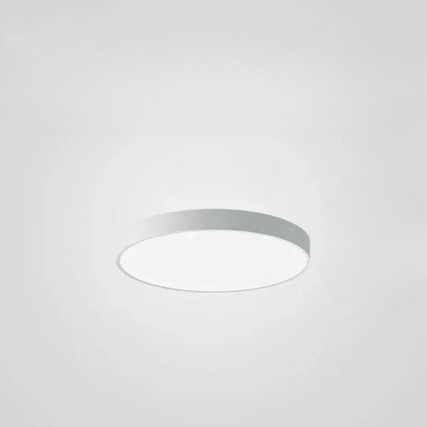 Frendorf | Bringen Sie Leben in jeden Raum mit der Spectrastyle Lampe