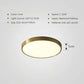 Frendorf | Bringen Sie Leben in jeden Raum mit der Spectrastyle Lampe