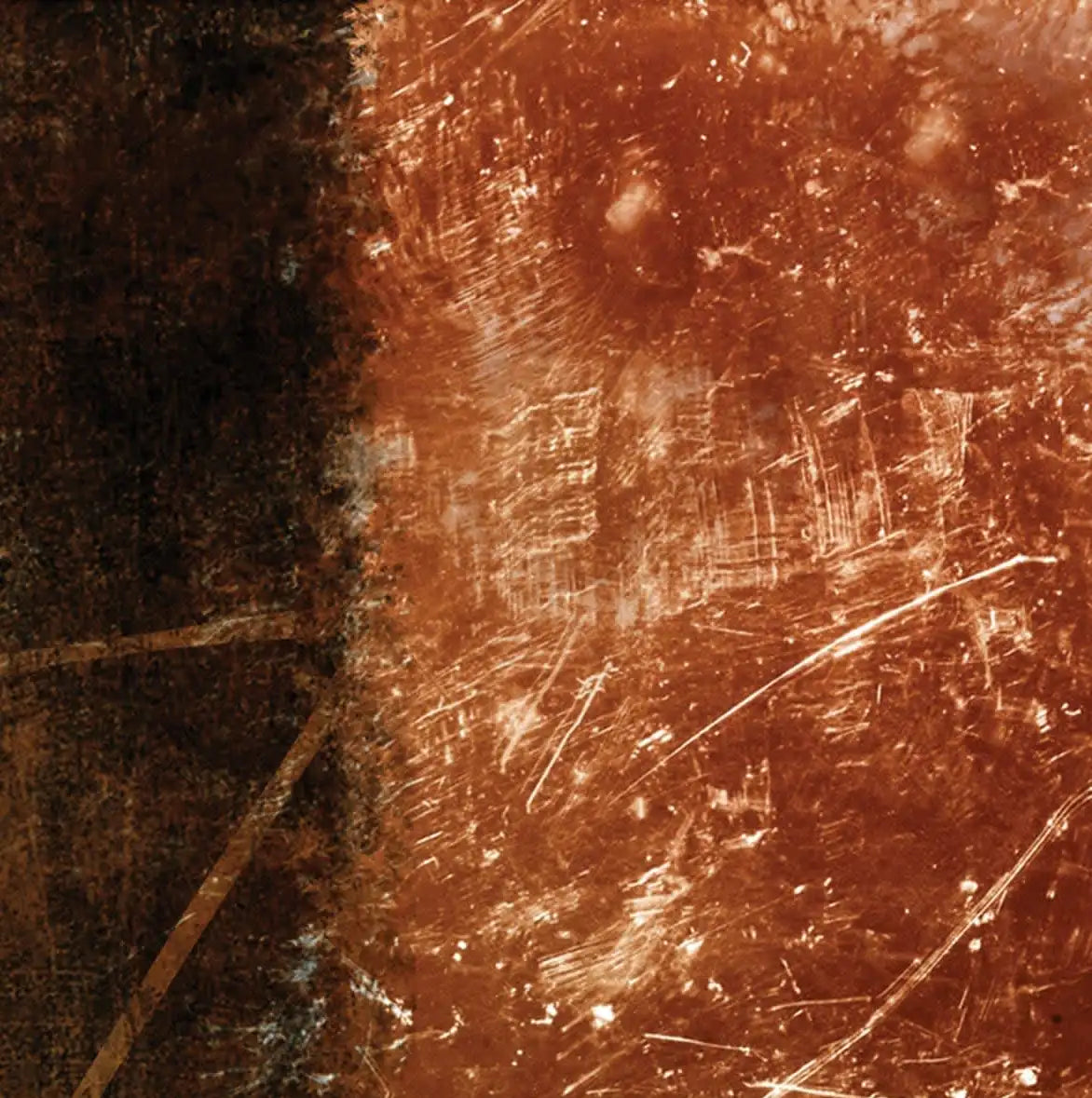 Frendorf | Gewürzblätter 1B Wandkunst