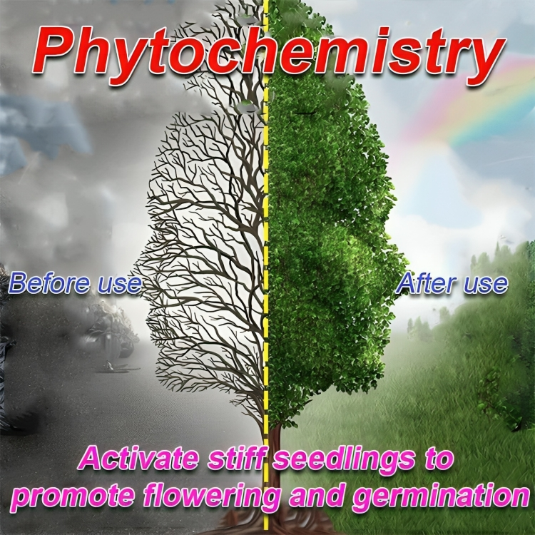 Frendorf | BotanicBoost | Biotin-infundiertes Pflanzenauferstehungselixier