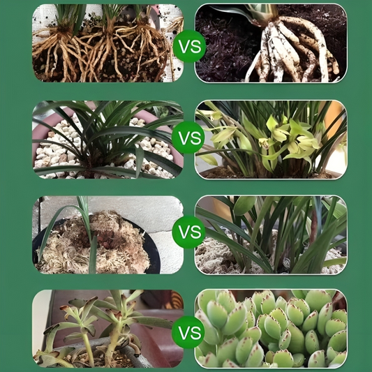 Frendorf | BotanicBoost | Biotin-infundiertes Pflanzenauferstehungselixier