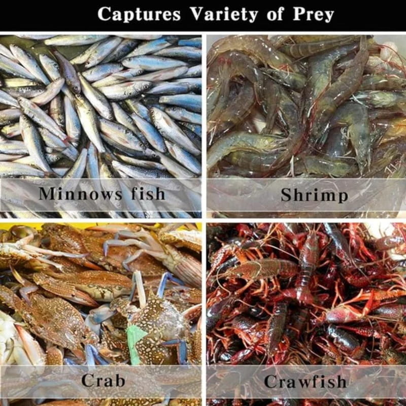 Frendorf | Automatisch faltbares, verstärktes Angelnetz