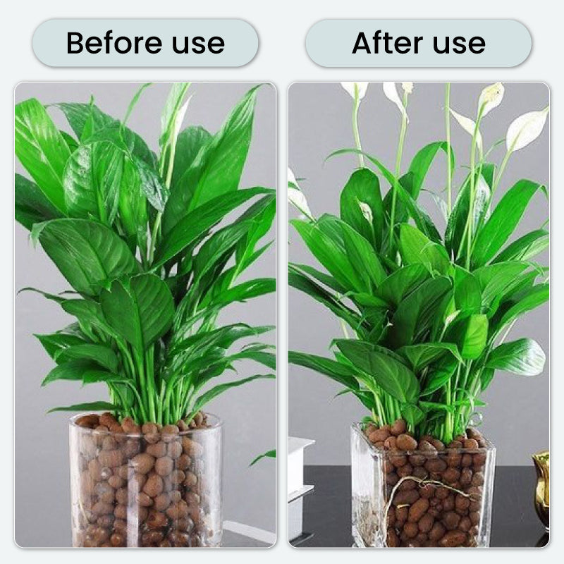 Frendorf | BloomGuard – Antibakterielle Sprudeltabletten für Blumen