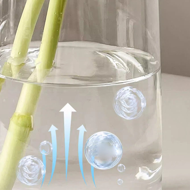 Frendorf | BloomGuard – Antibakterielle Sprudeltabletten für Blumen