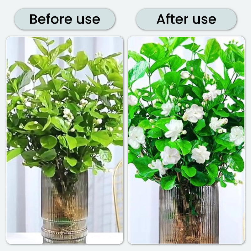 Frendorf | BloomGuard – Antibakterielle Sprudeltabletten für Blumen