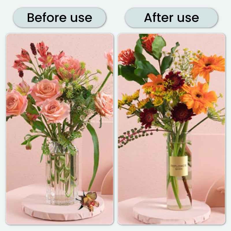 Frendorf | BloomGuard – Antibakterielle Sprudeltabletten für Blumen