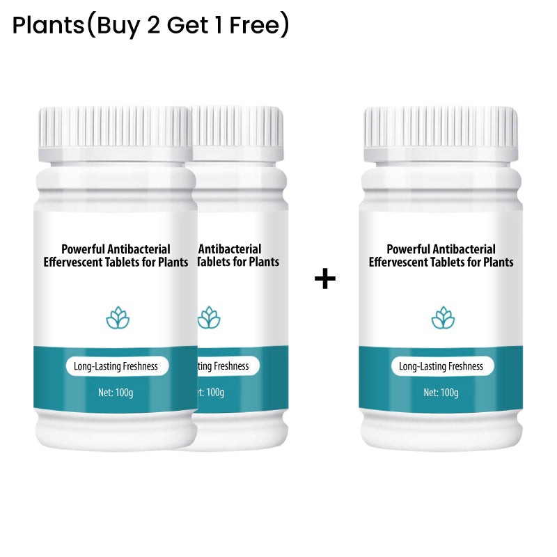 Frendorf | BloomGuard – Antibakterielle Sprudeltabletten für Blumen