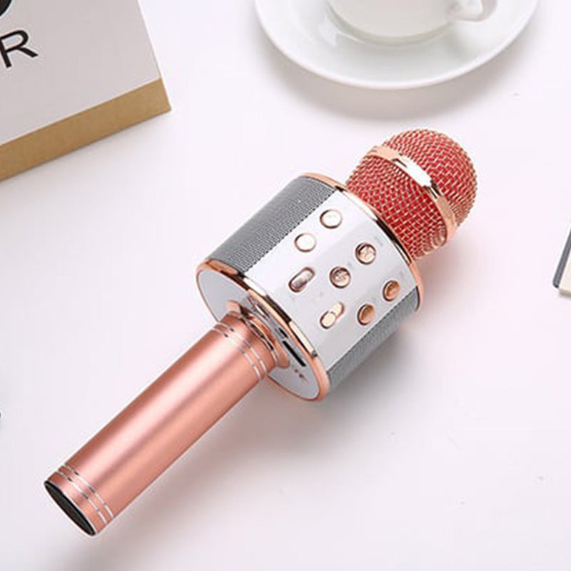 Frendorf | Sing Anywhere: Das ultimative kabellose Karaoke-Mikrofon!