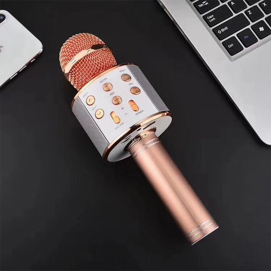 Frendorf | Sing Anywhere: Das ultimative kabellose Karaoke-Mikrofon!