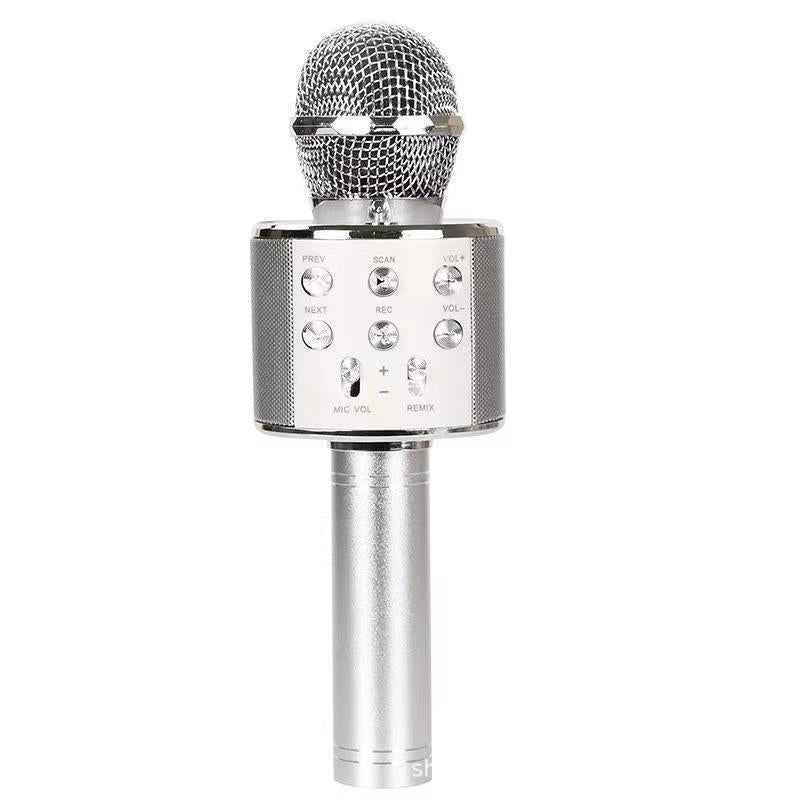 Frendorf | Sing Anywhere: Das ultimative kabellose Karaoke-Mikrofon!
