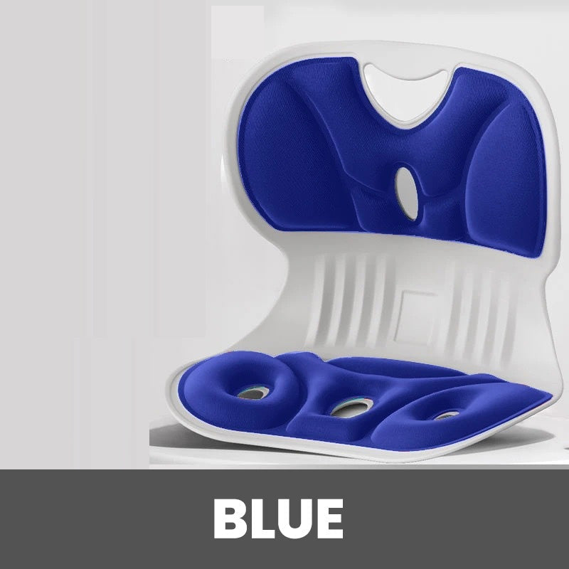 Frendorf | SpineRelax – Schmerzfreies Sitzen mit perfekter Rückenstütze!