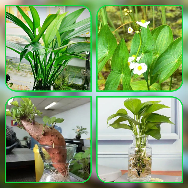 Frendorf |  HydroScope – Wurzelüberwachung leicht gemacht