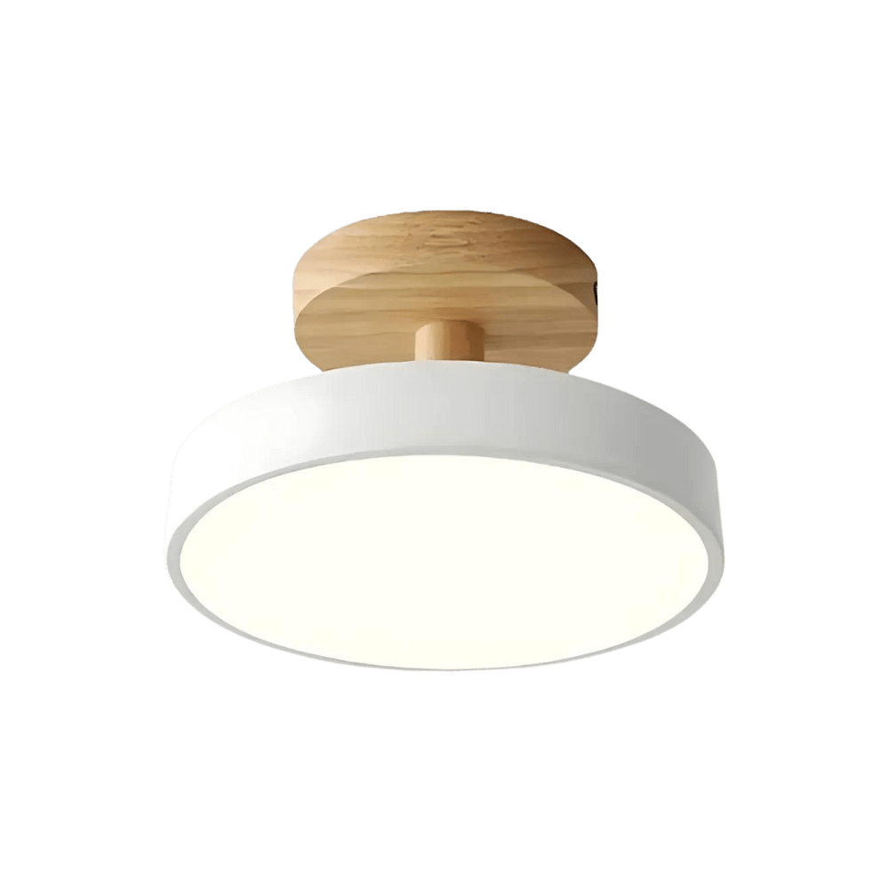 Frendorf | Bringen Sie Licht in Ihren Raum mit dieser Lampe: Strahlender eleganter Charme