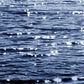 Frendorf | Sonniges Meer Indigo Wandkunst