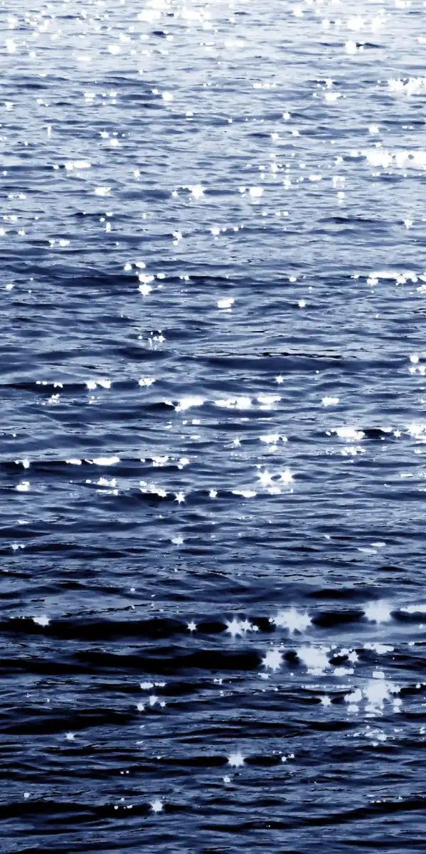 Frendorf | Sonniges Meer Indigo Wandkunst