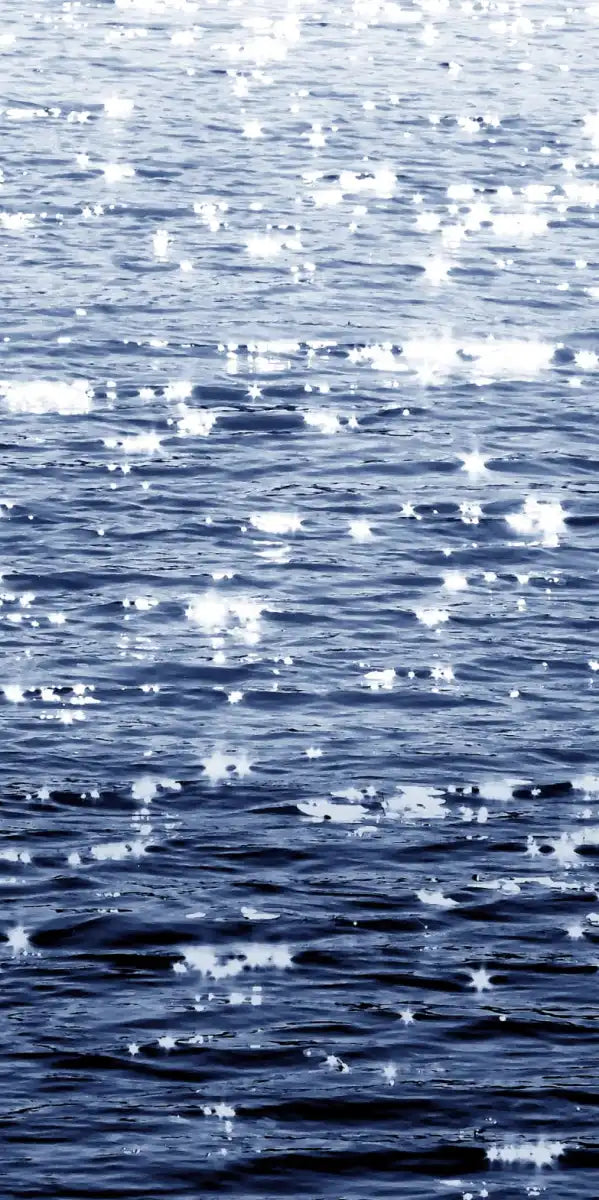 Frendorf | Sonniges Meer Indigo Wandkunst