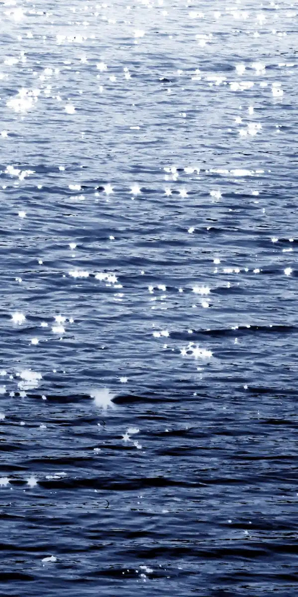 Frendorf | Sonniges Meer Indigo Wandkunst