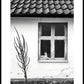 FALSTERBONÄSET - Die Katze im Fenster