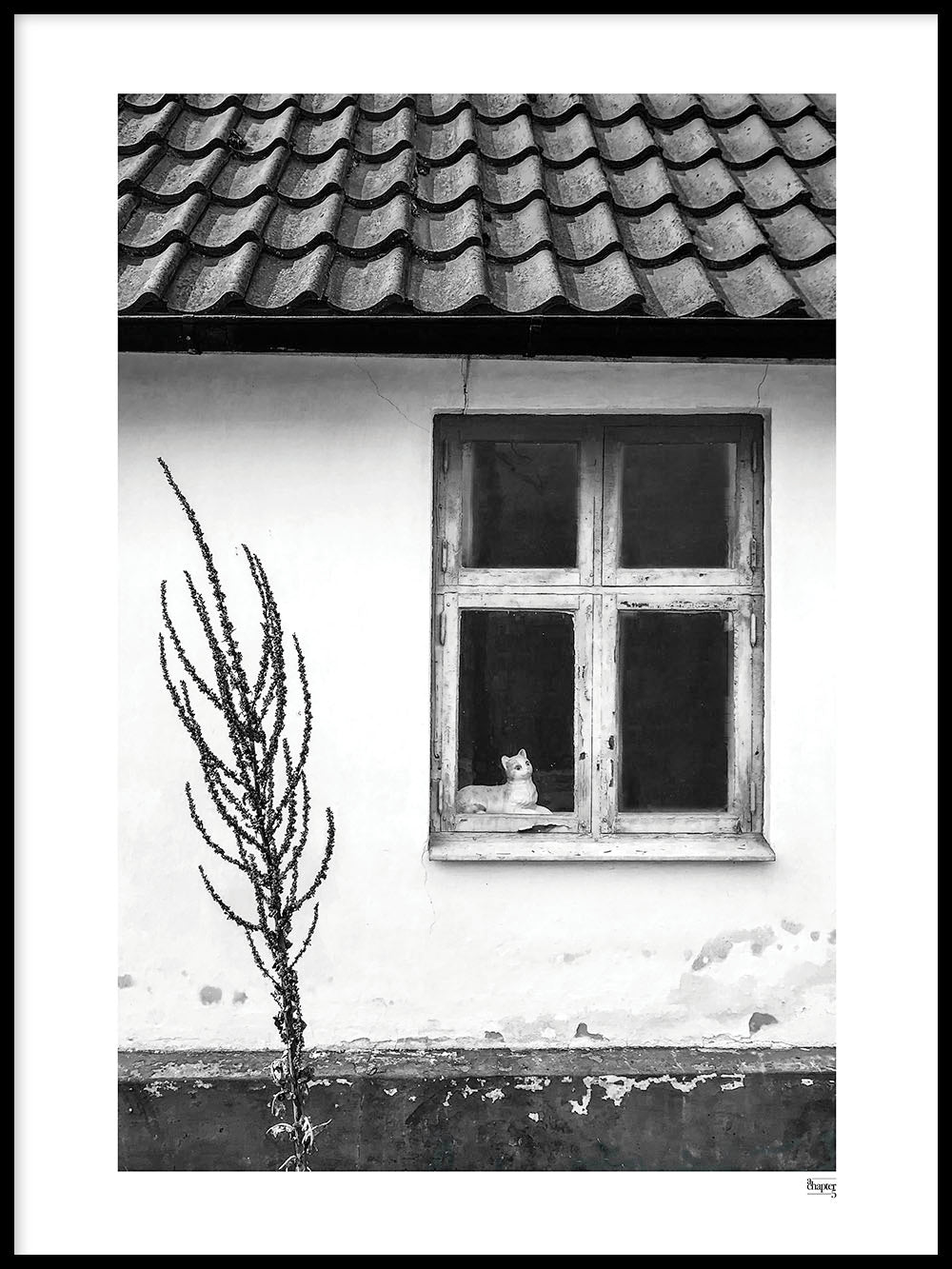 FALSTERBONÄSET - Die Katze im Fenster