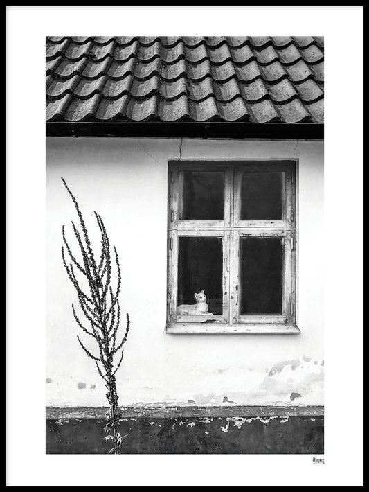 FALSTERBONÄSET - Die Katze im Fenster