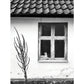 FALSTERBONÄSET - Die Katze im Fenster