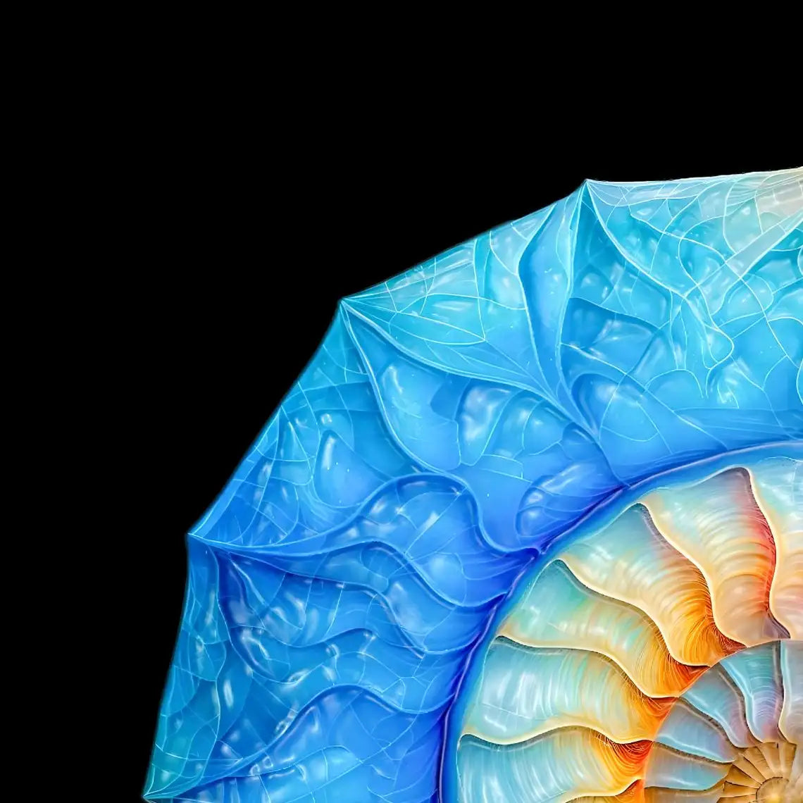 Frendorf | Die Nautilus Spiral Journey ist eine Erinnerung Wandkunst