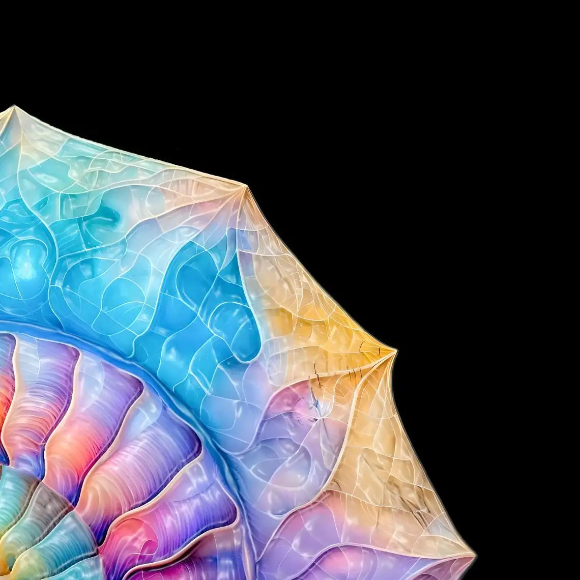 Frendorf | Die Nautilus Spiral Journey ist eine Erinnerung Wandkunst