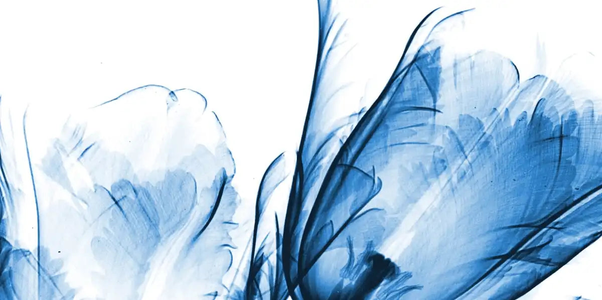 Frendorf | Drei Blaue Tulpen Wandkunst