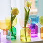 Zweiteiliges Mini-Knospenvase-Terrarium-Set