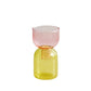 Zweiteiliges Mini-Knospenvase-Terrarium-Set