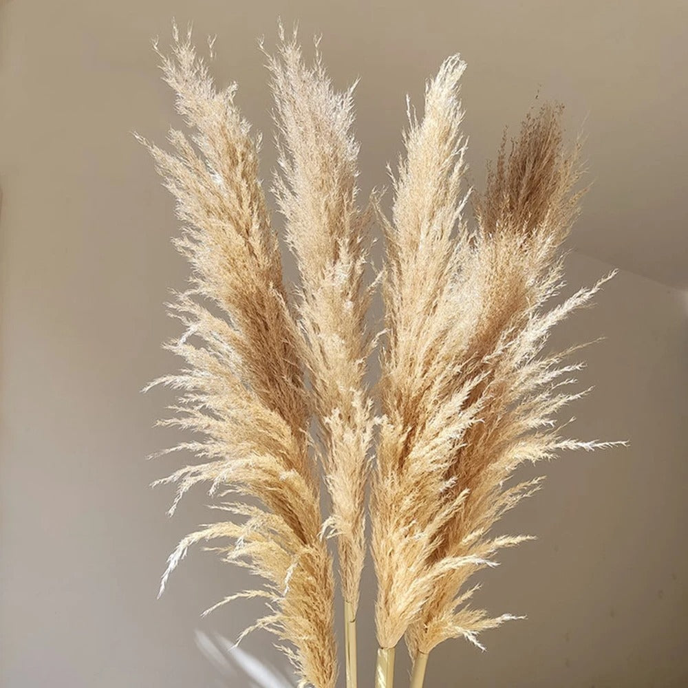Frendorf | FeatherBloom Pampasgras | Große Federn für luxuriöse Dekoration | Trockenblumen für Zuhause & Events